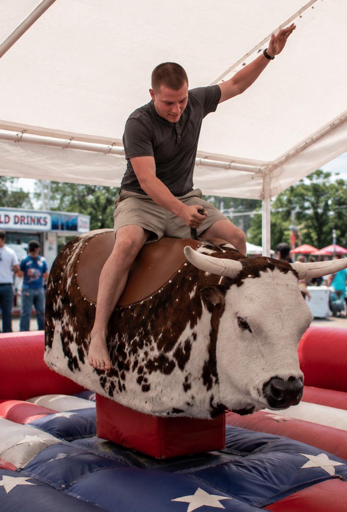 Mechanical bull image 2